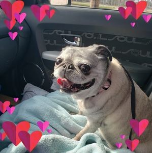 Meet your Posher, Cassandra